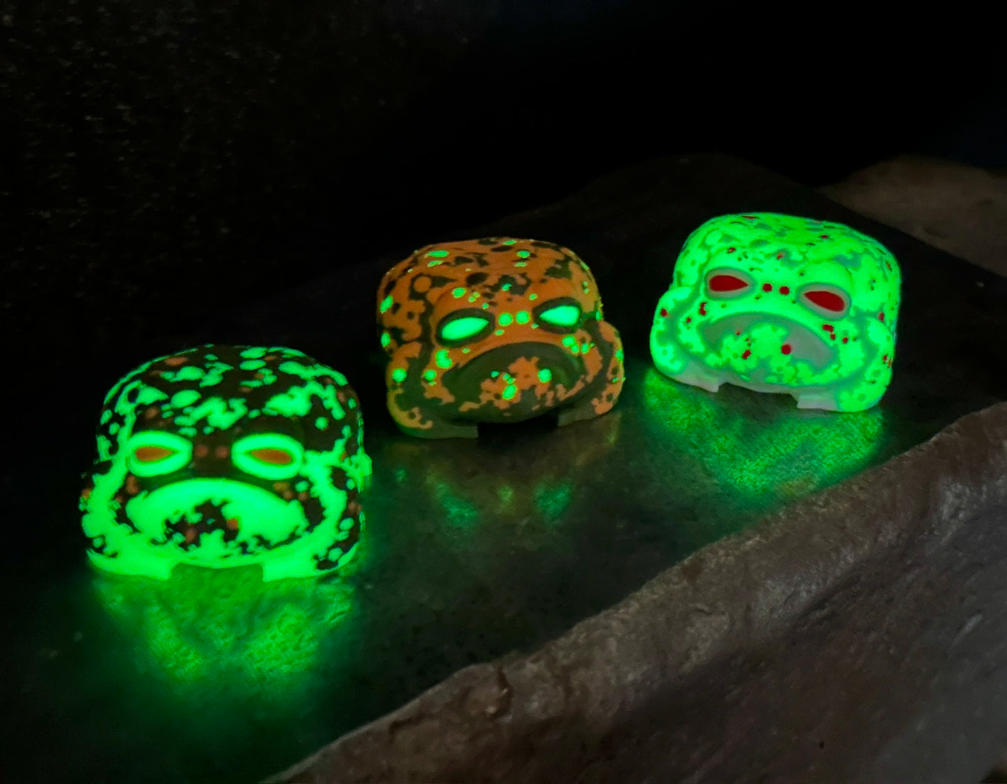 Garnet The Rain Frog