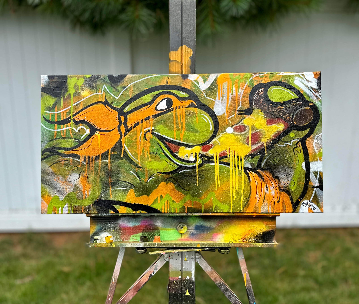 Canvases / Art