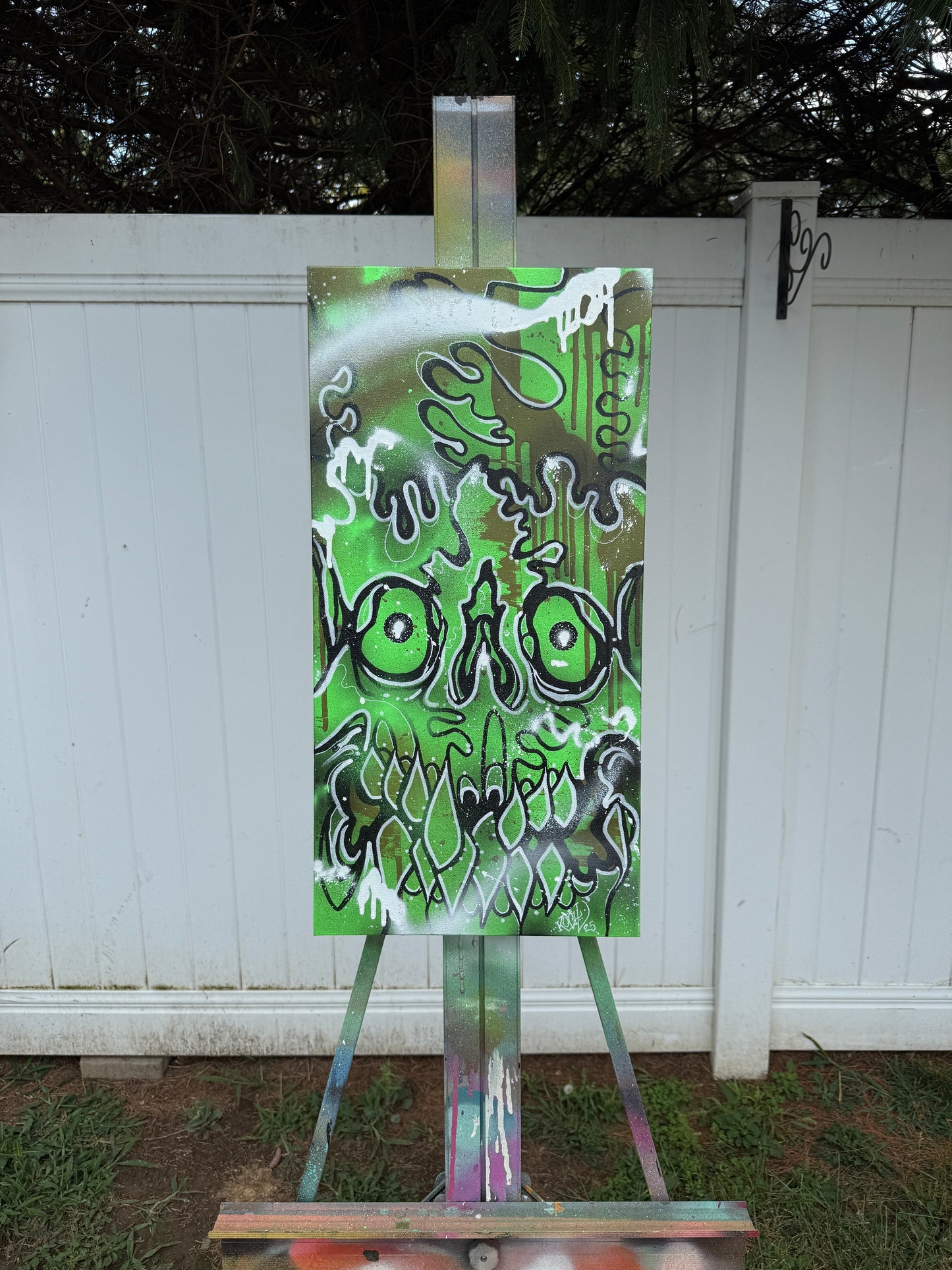 Canvases / Art