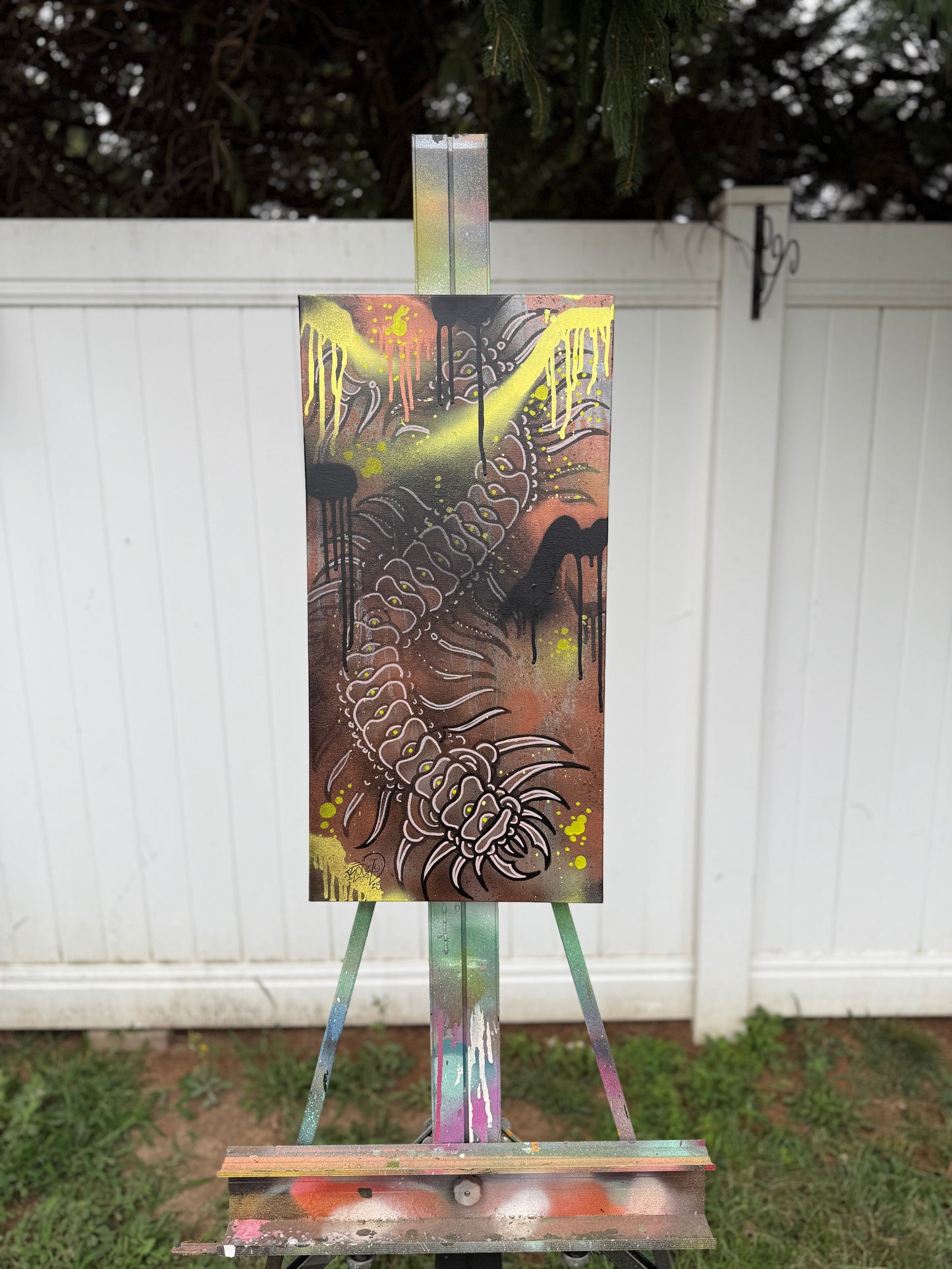 Canvases / Art