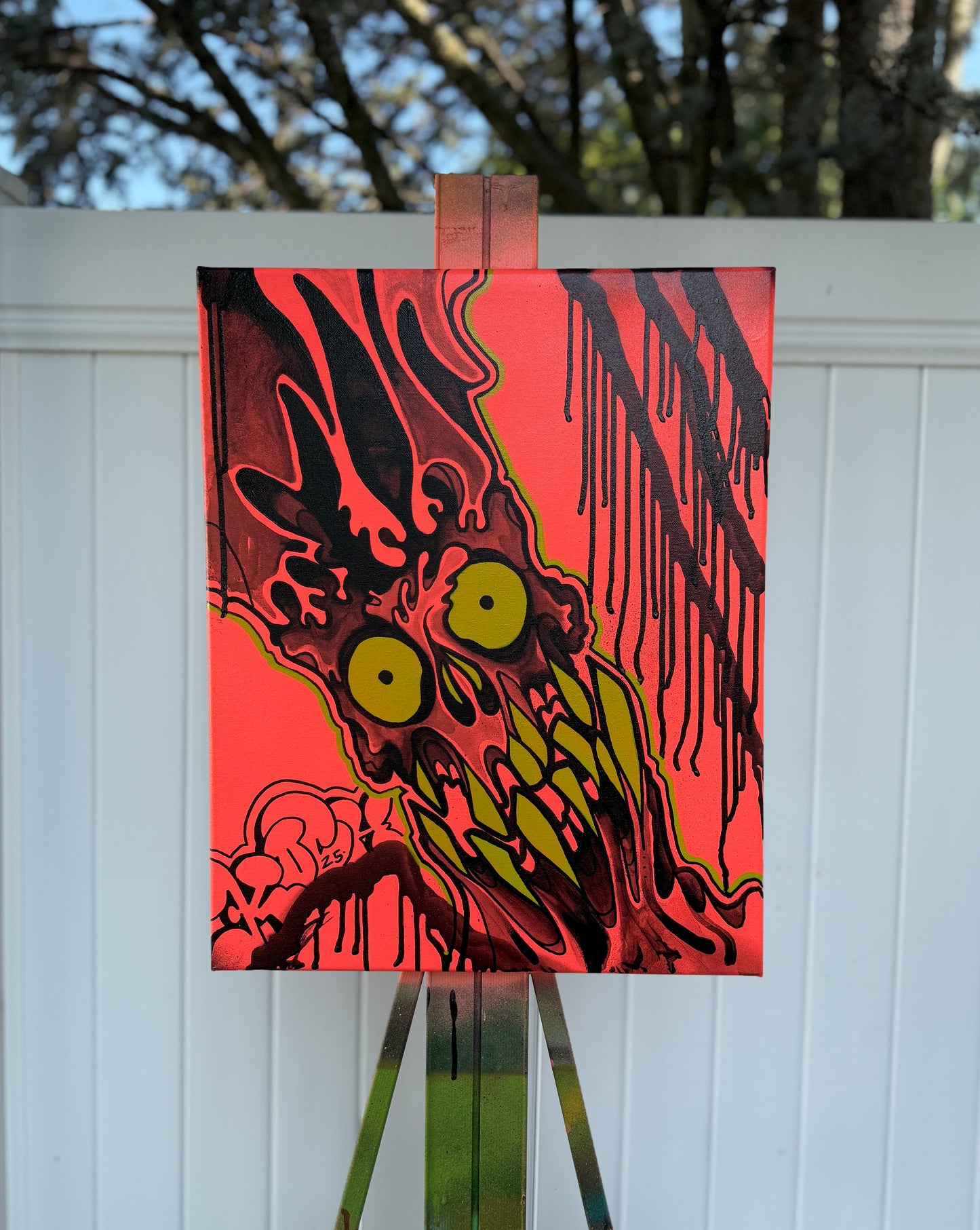 Canvases / Art
