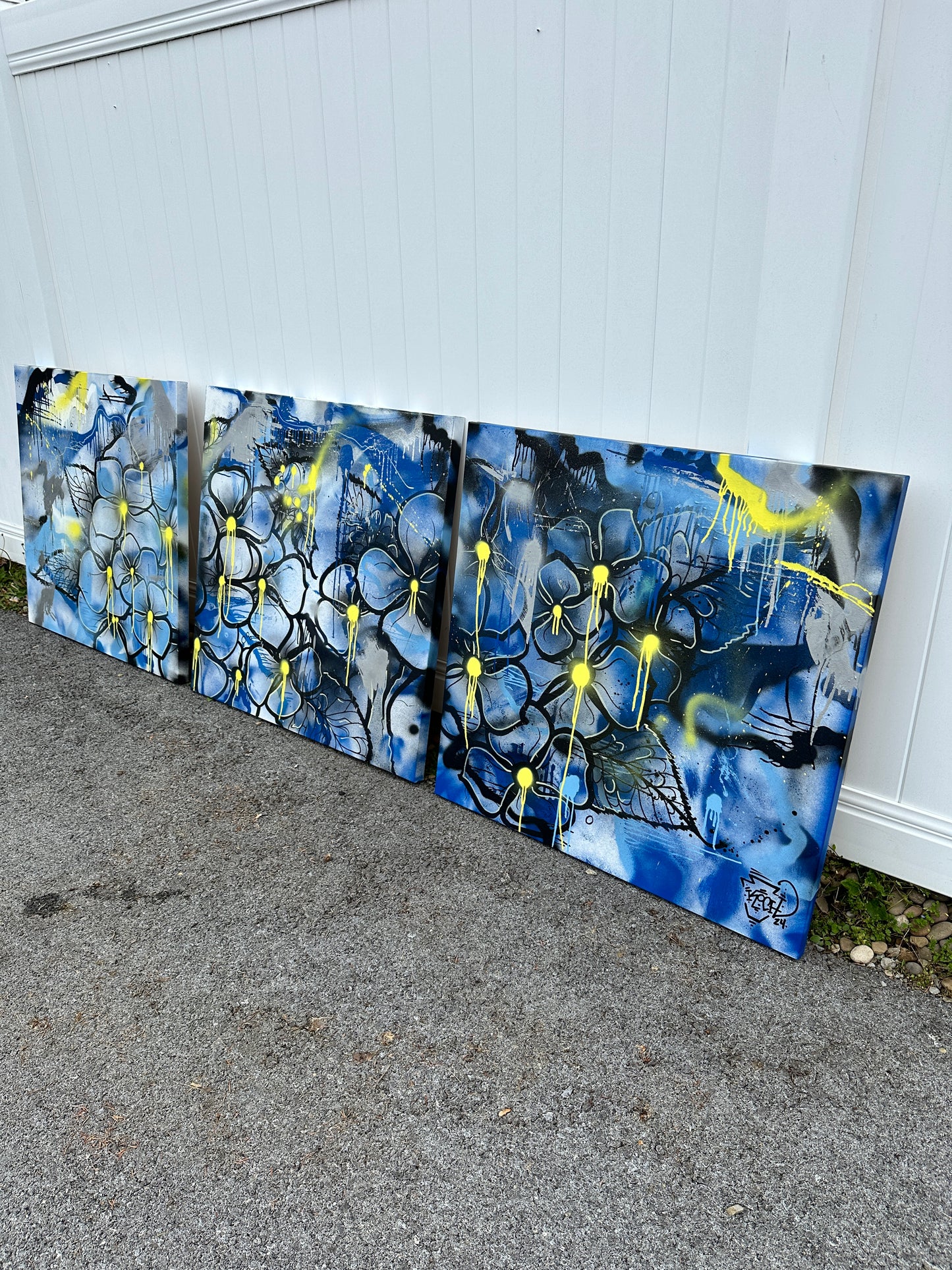 Canvases / Art