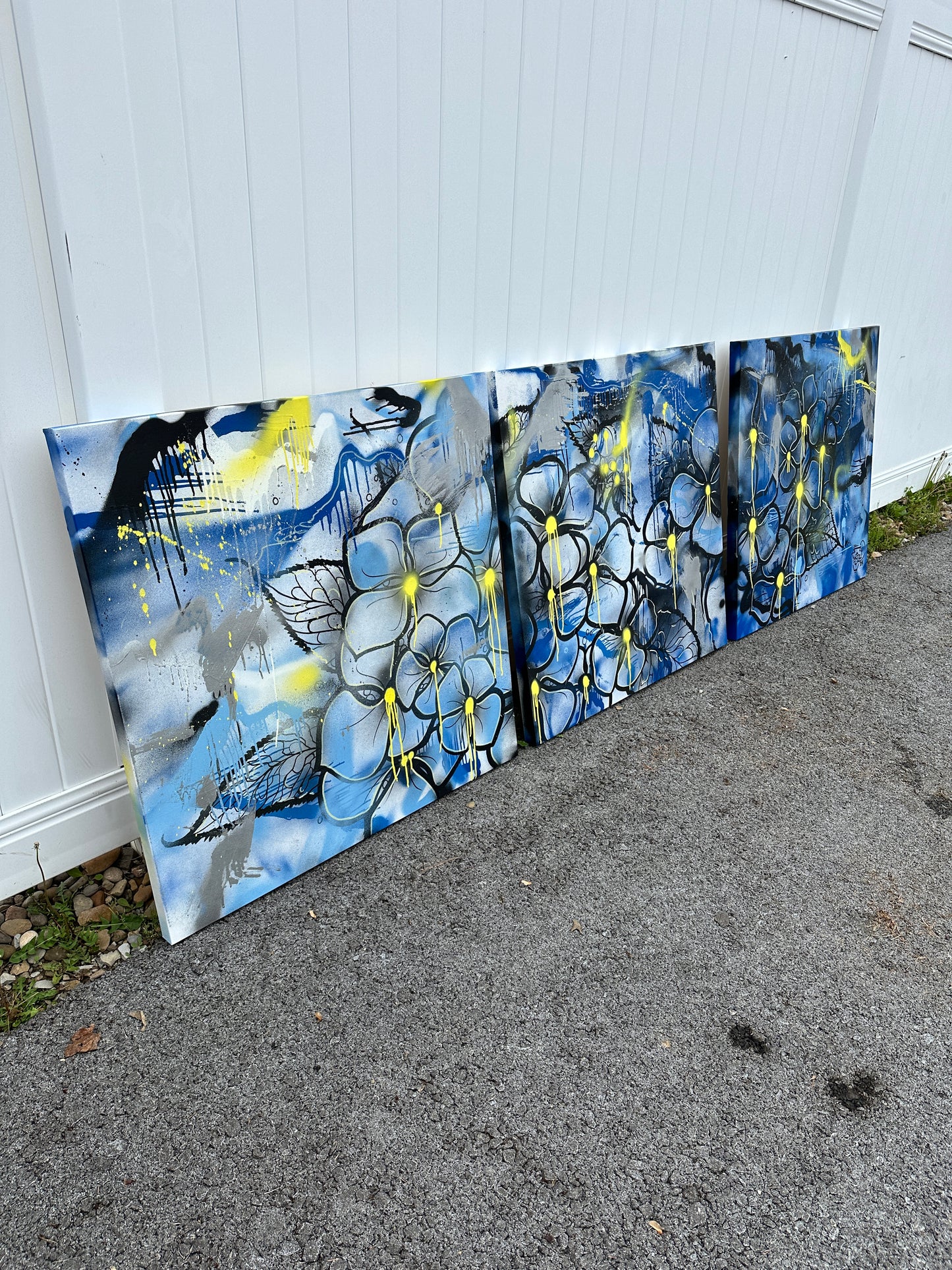 Canvases / Art