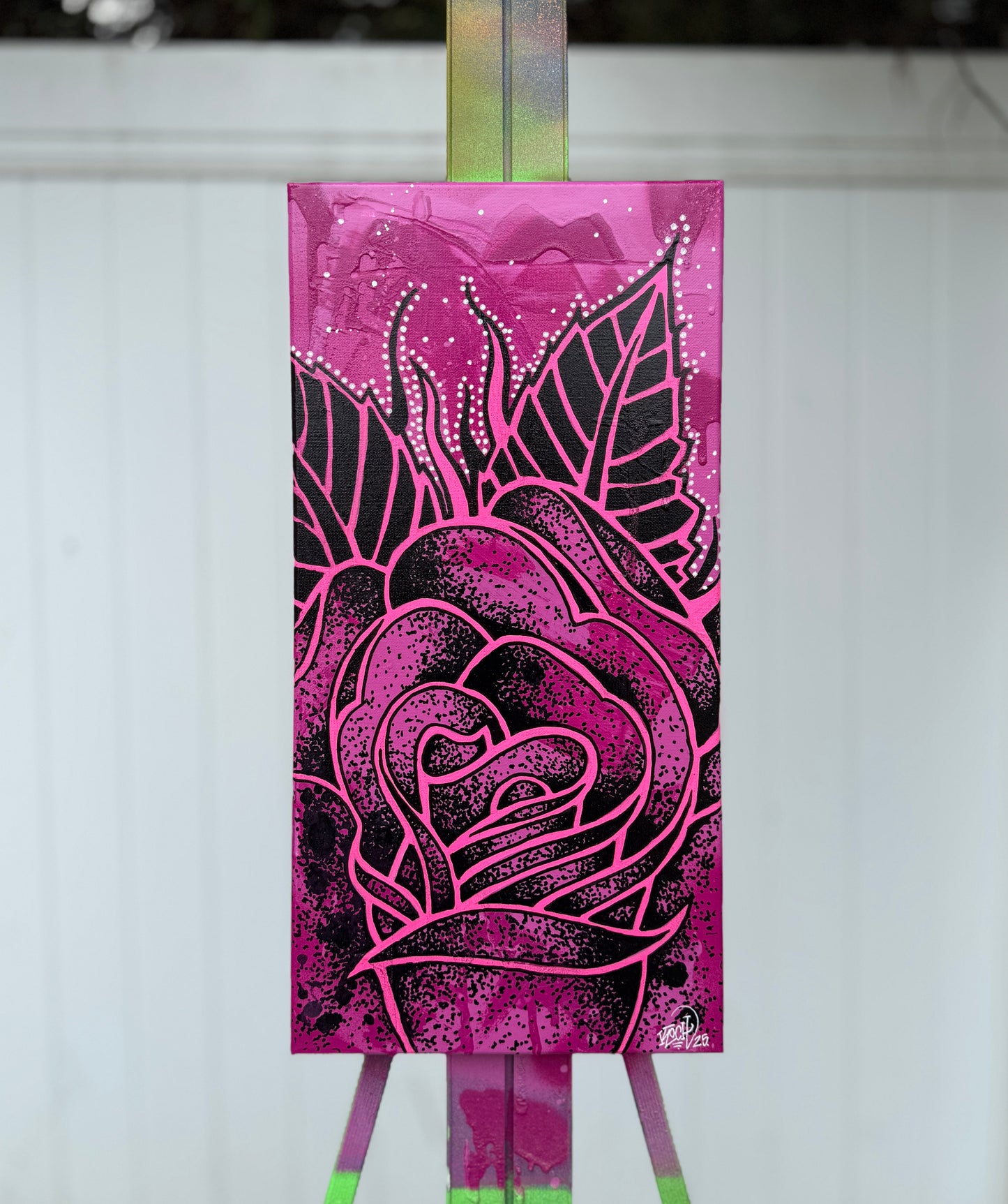 Canvases / Art