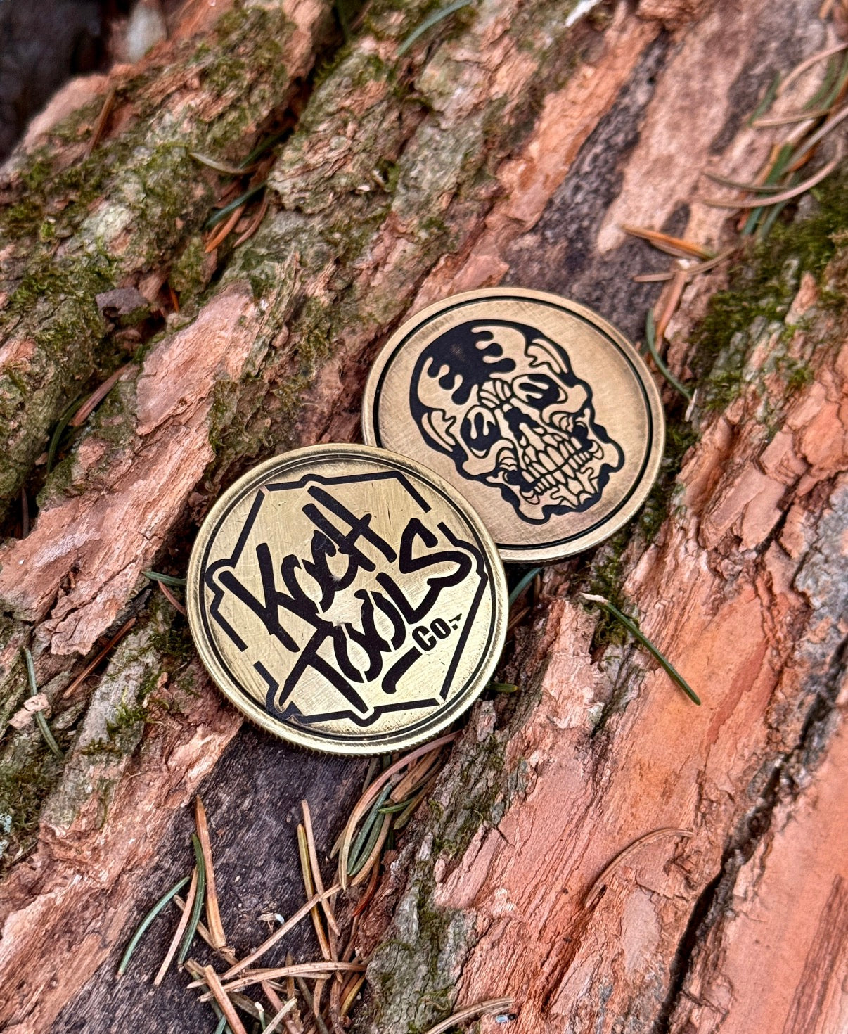 Brass Challenge Coin – Guardian Skull & Insignia