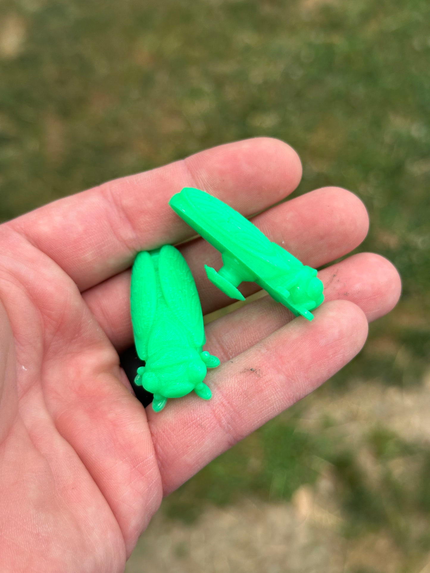 Cicada Shoe Charm