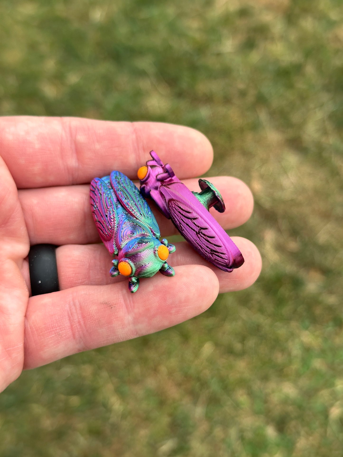 Cicada Shoe Charm