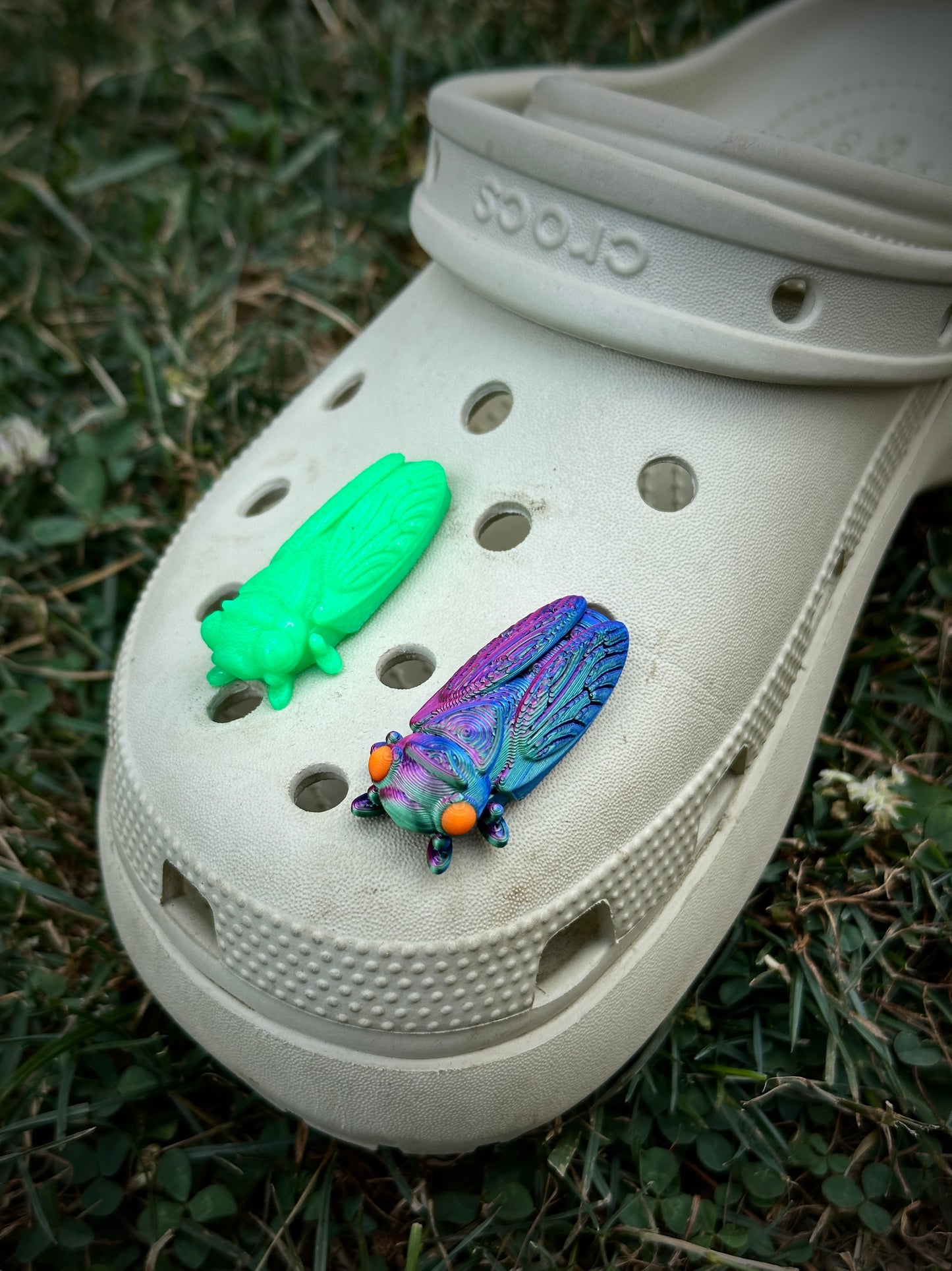 Cicada Shoe Charm