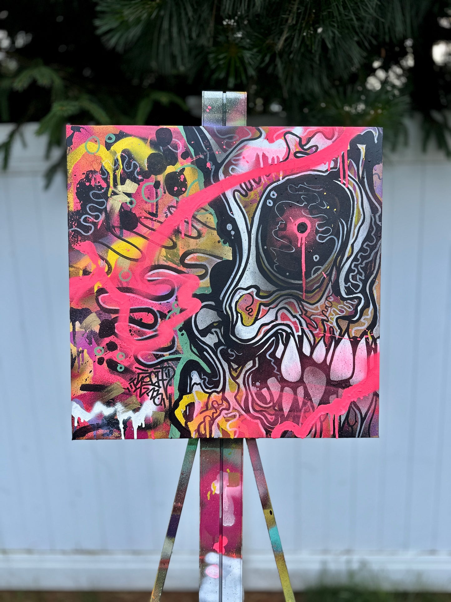 Canvases / Art