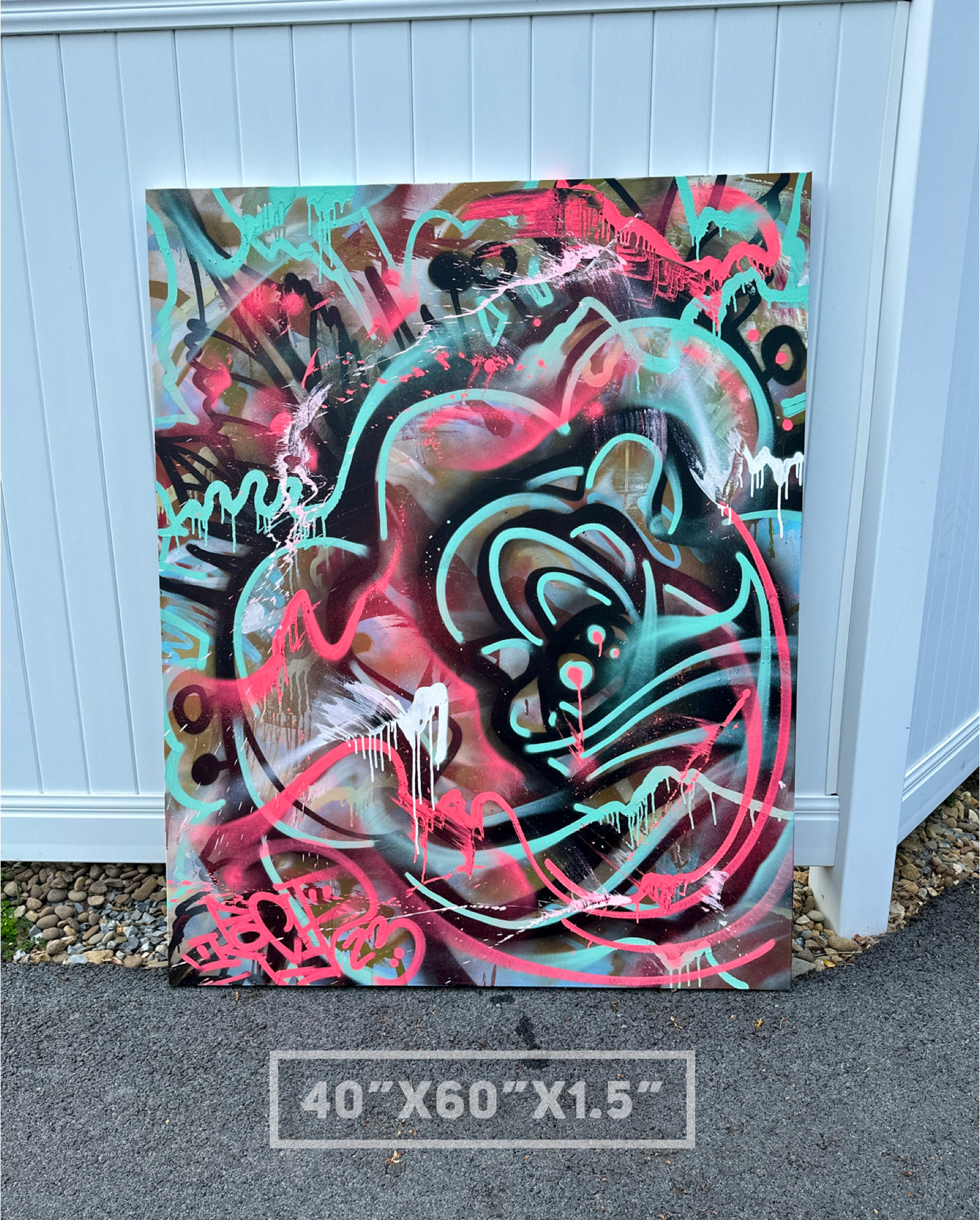 Canvases / Art
