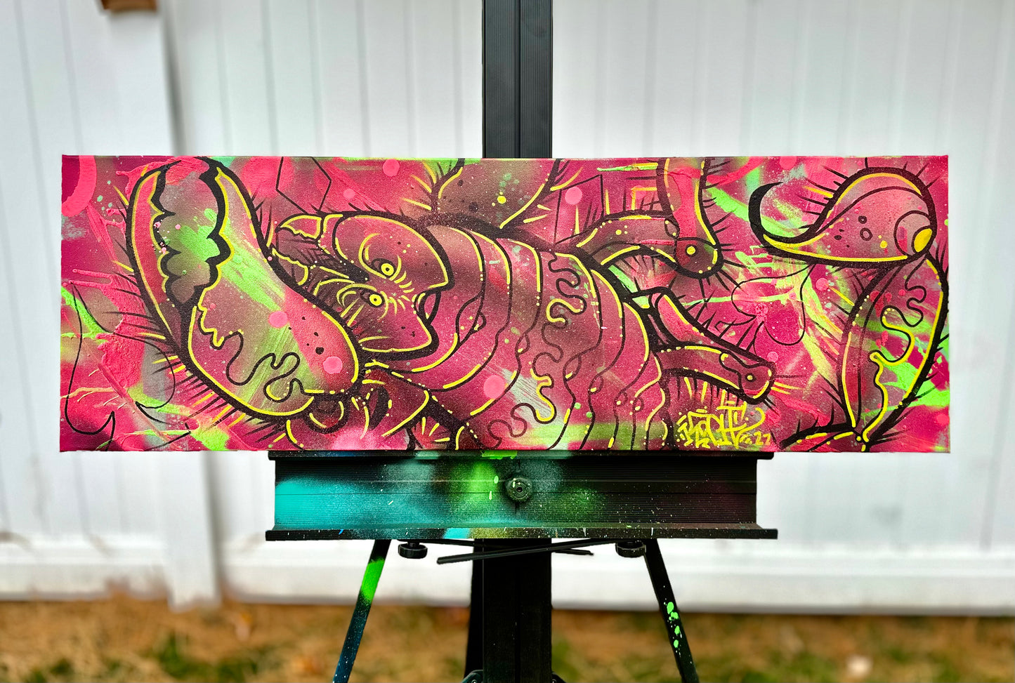 Canvases / Art