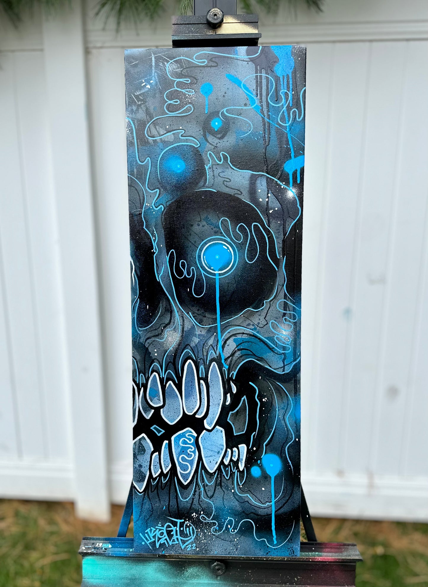 Canvases / Art