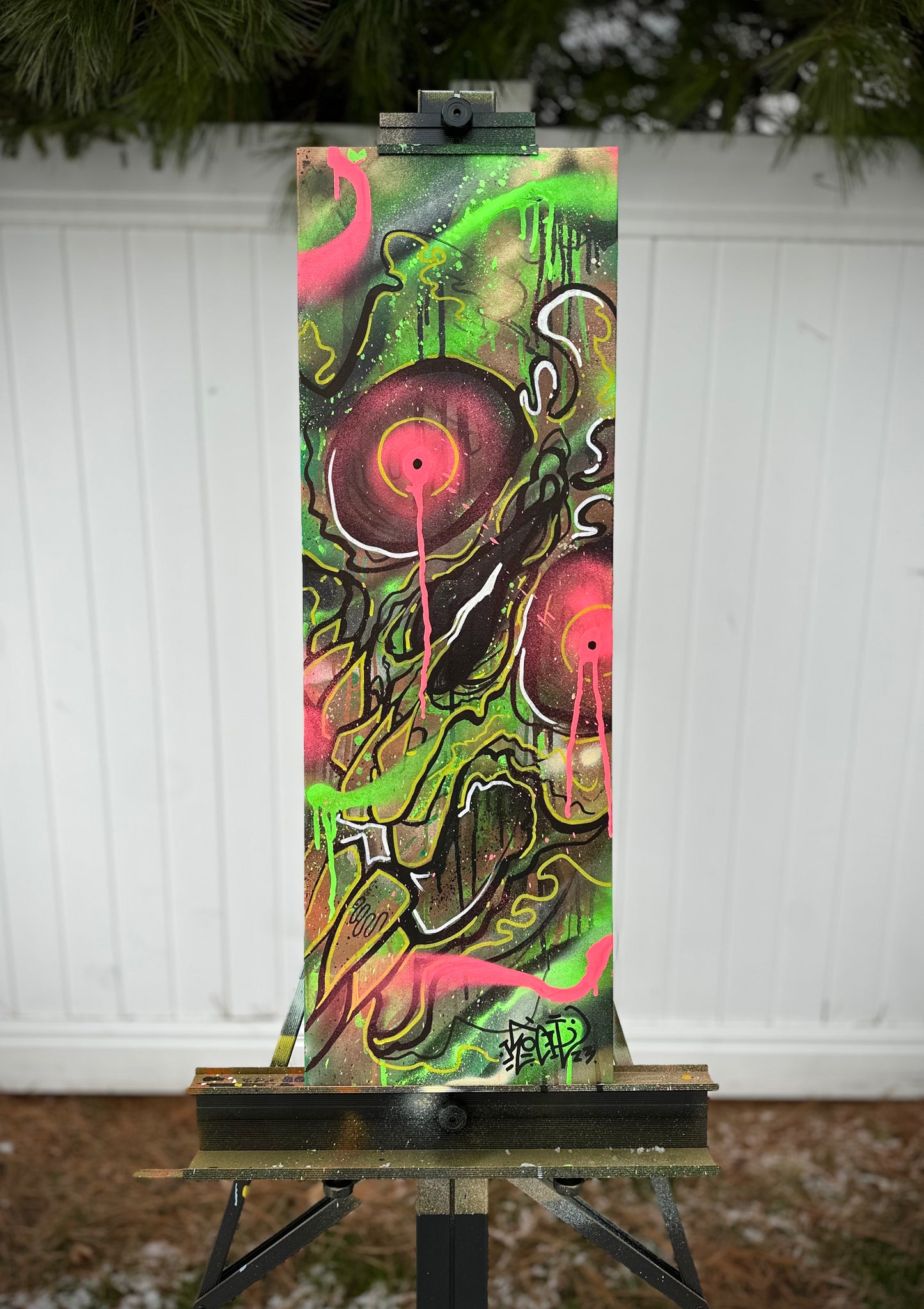 Canvases / Art