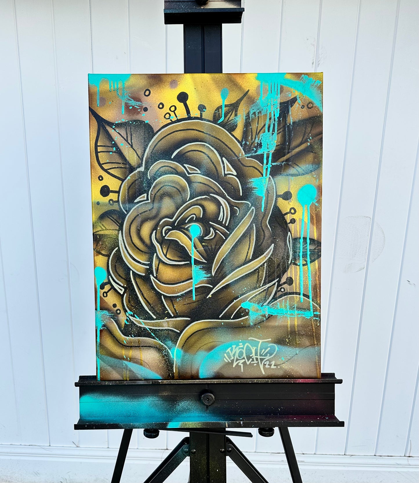 Canvases / Art