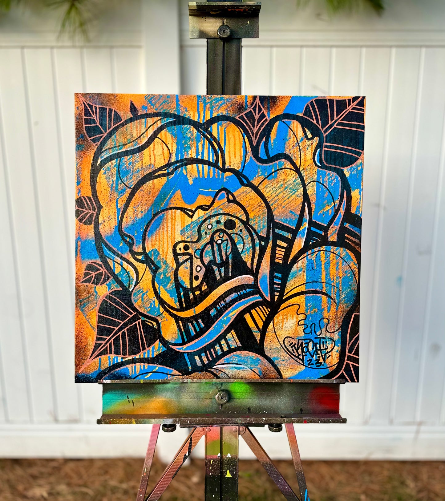 Canvases / Art