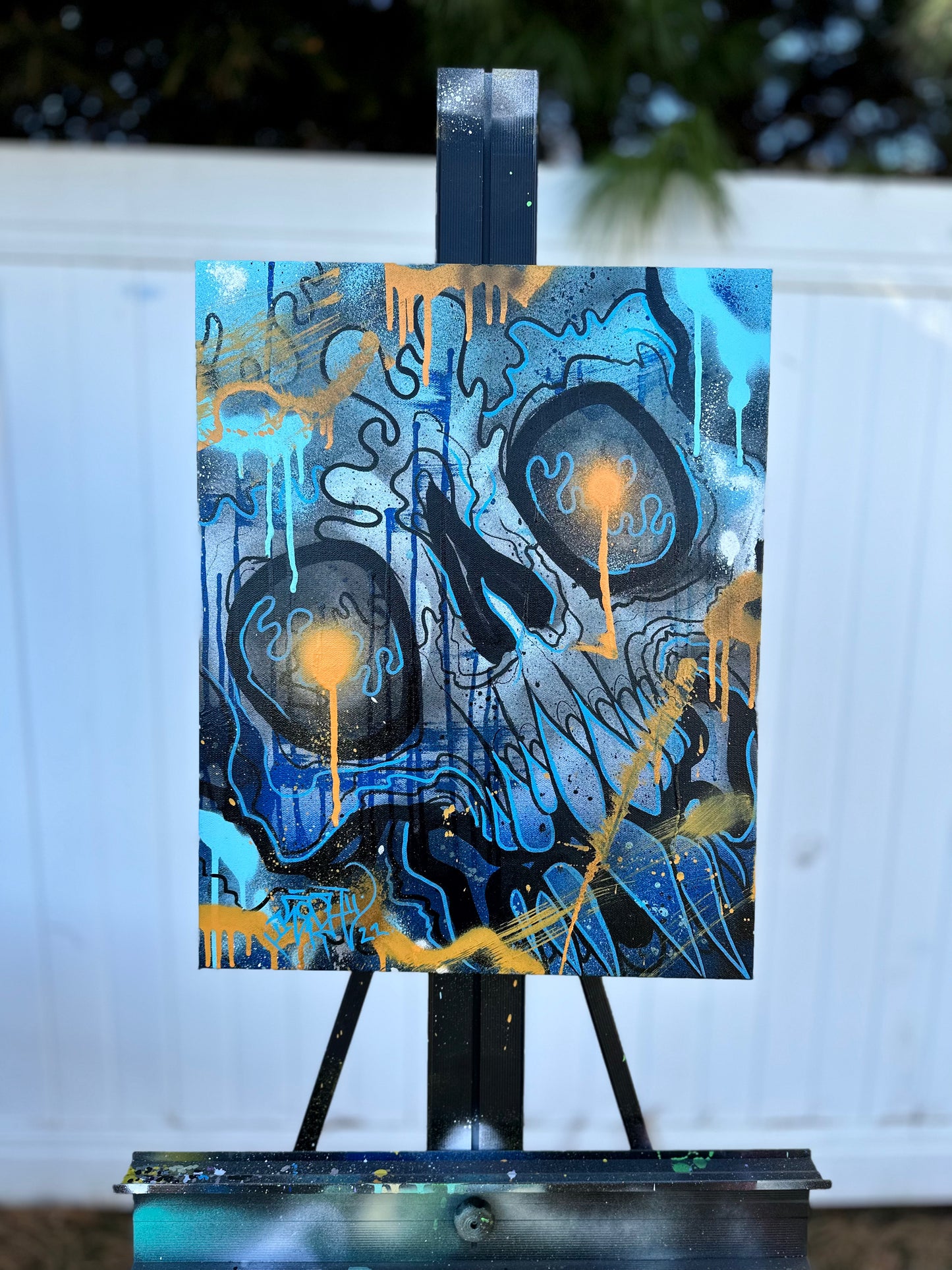 Canvases / Art
