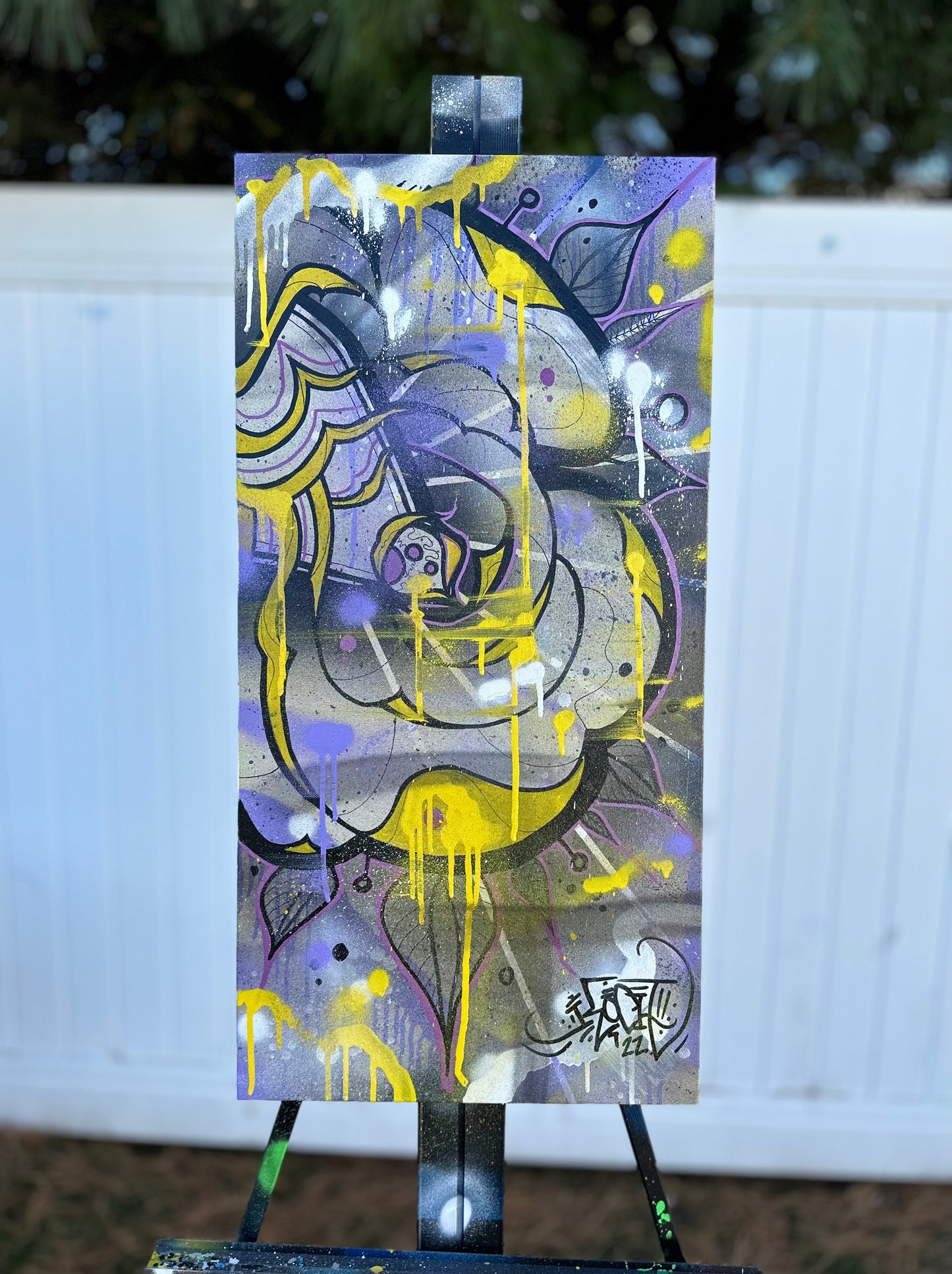 Canvases / Art