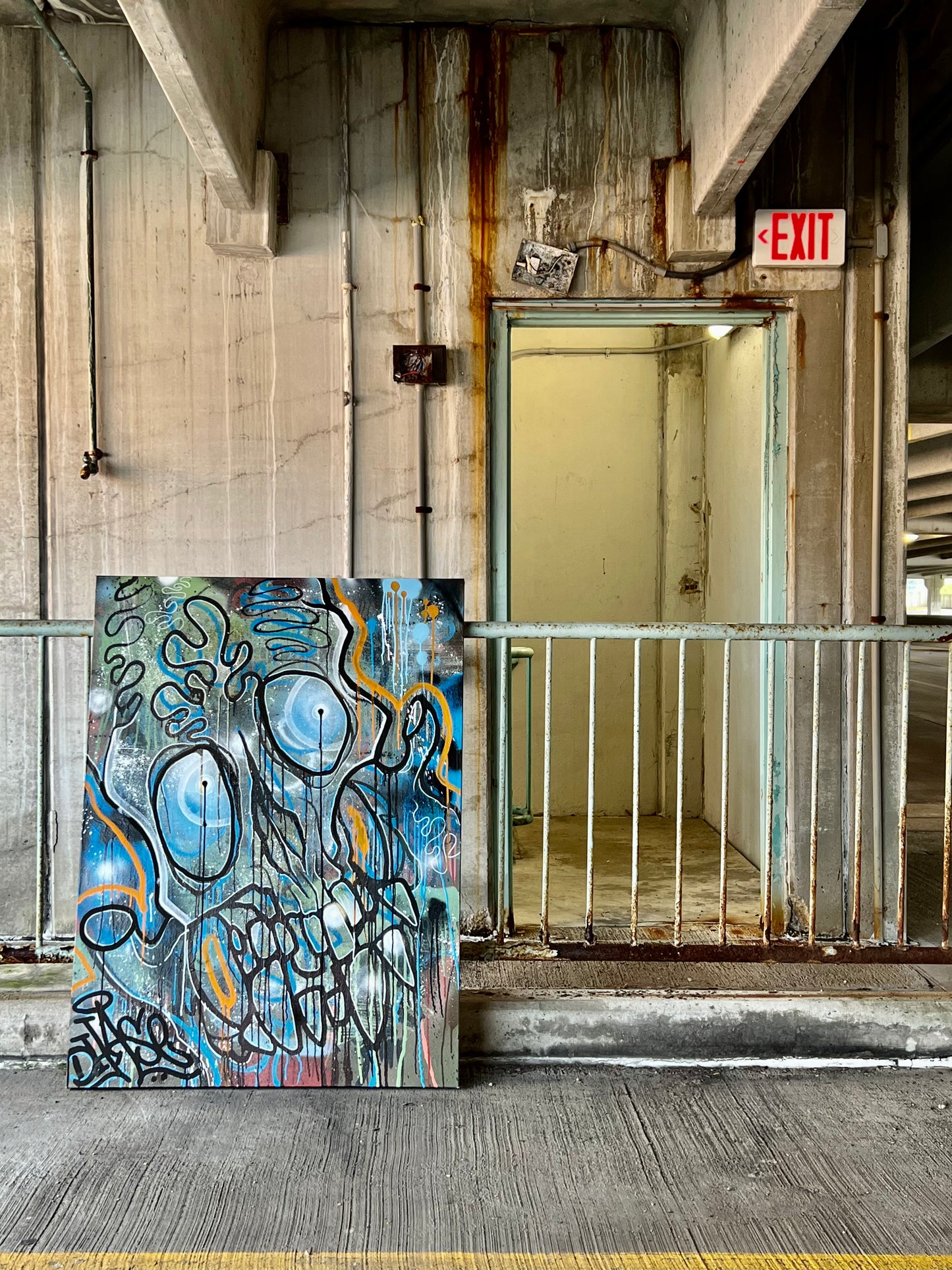 Canvases / Art