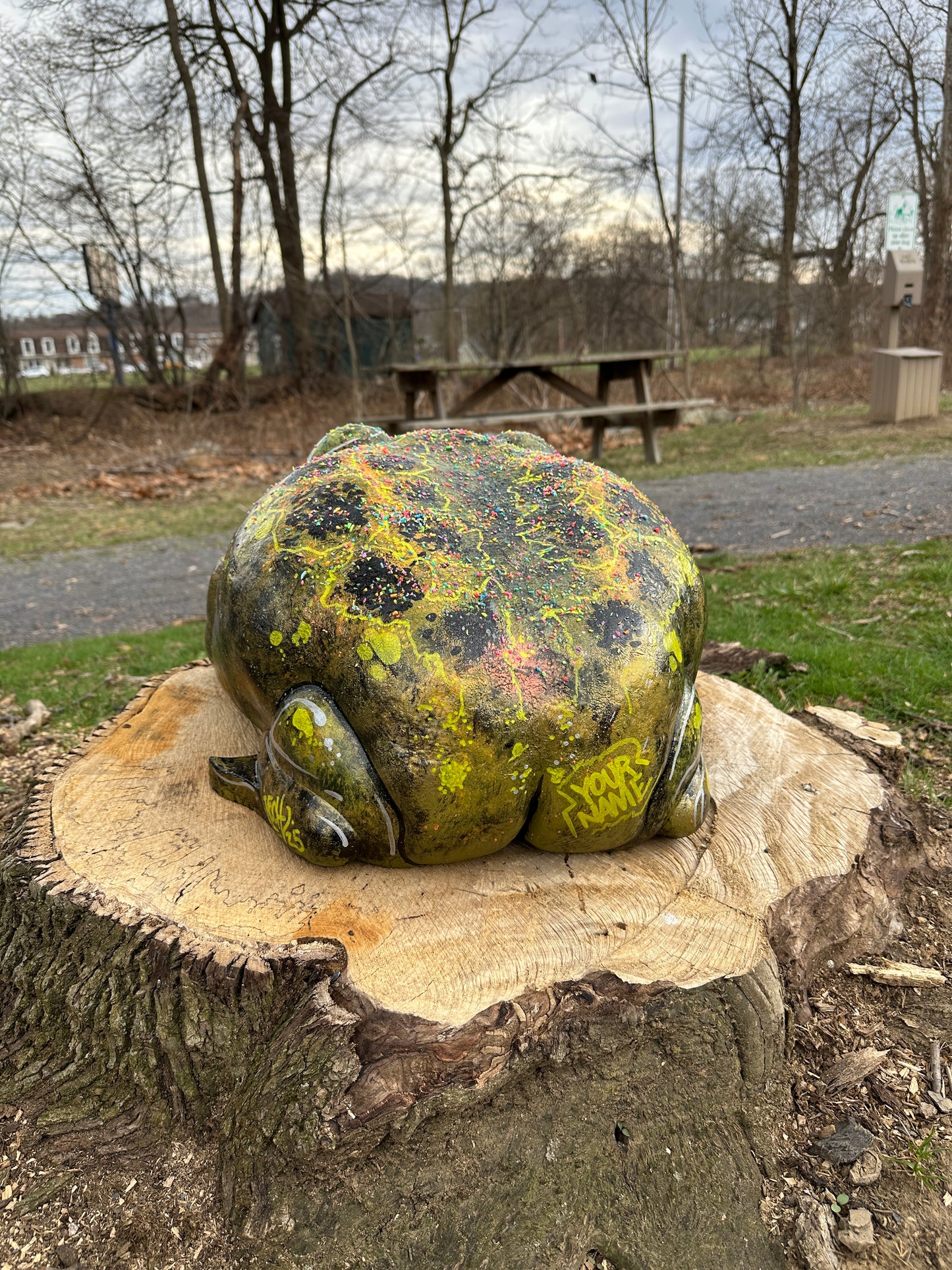#001 For Adoption : Oskar the Frog