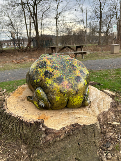 #001 For Adoption : Oskar the Frog