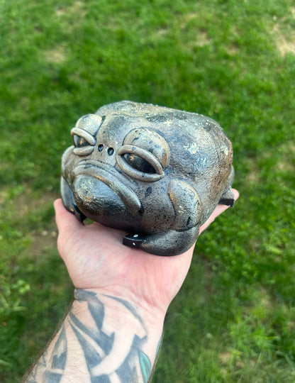 Garnet The Rain Frog