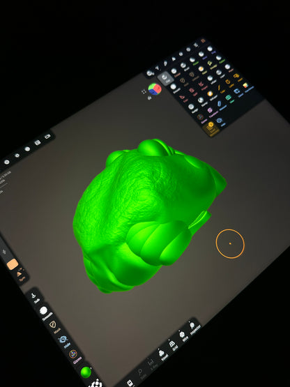 Garnet The Rain Frog