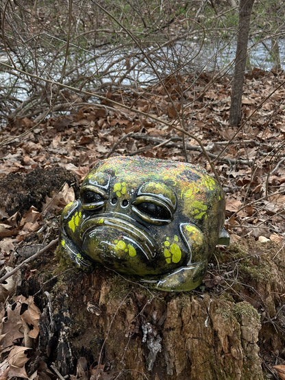 #001 For Adoption : Oskar the Frog