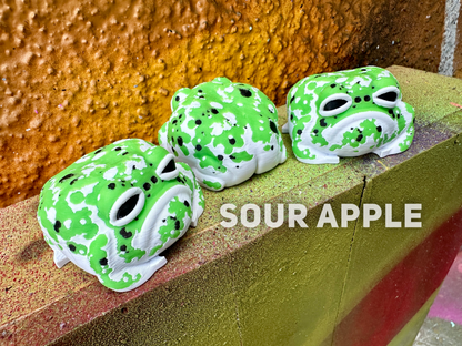 Garnet The Rain Frog