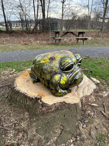 #001 For Adoption : Oskar the Frog