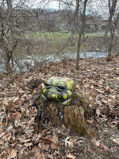 #001 For Adoption : Oskar the Frog