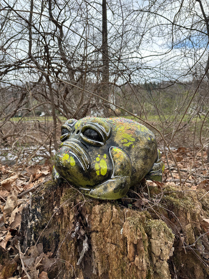 #001 For Adoption : Oskar the Frog