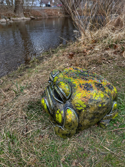 #001 For Adoption : Oskar the Frog