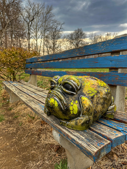 #001 For Adoption : Oskar the Frog