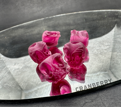 EDC Koch Tools Co Guardian Skull Lanyard Bead Two Pack for Paracord - Cranberry Resin