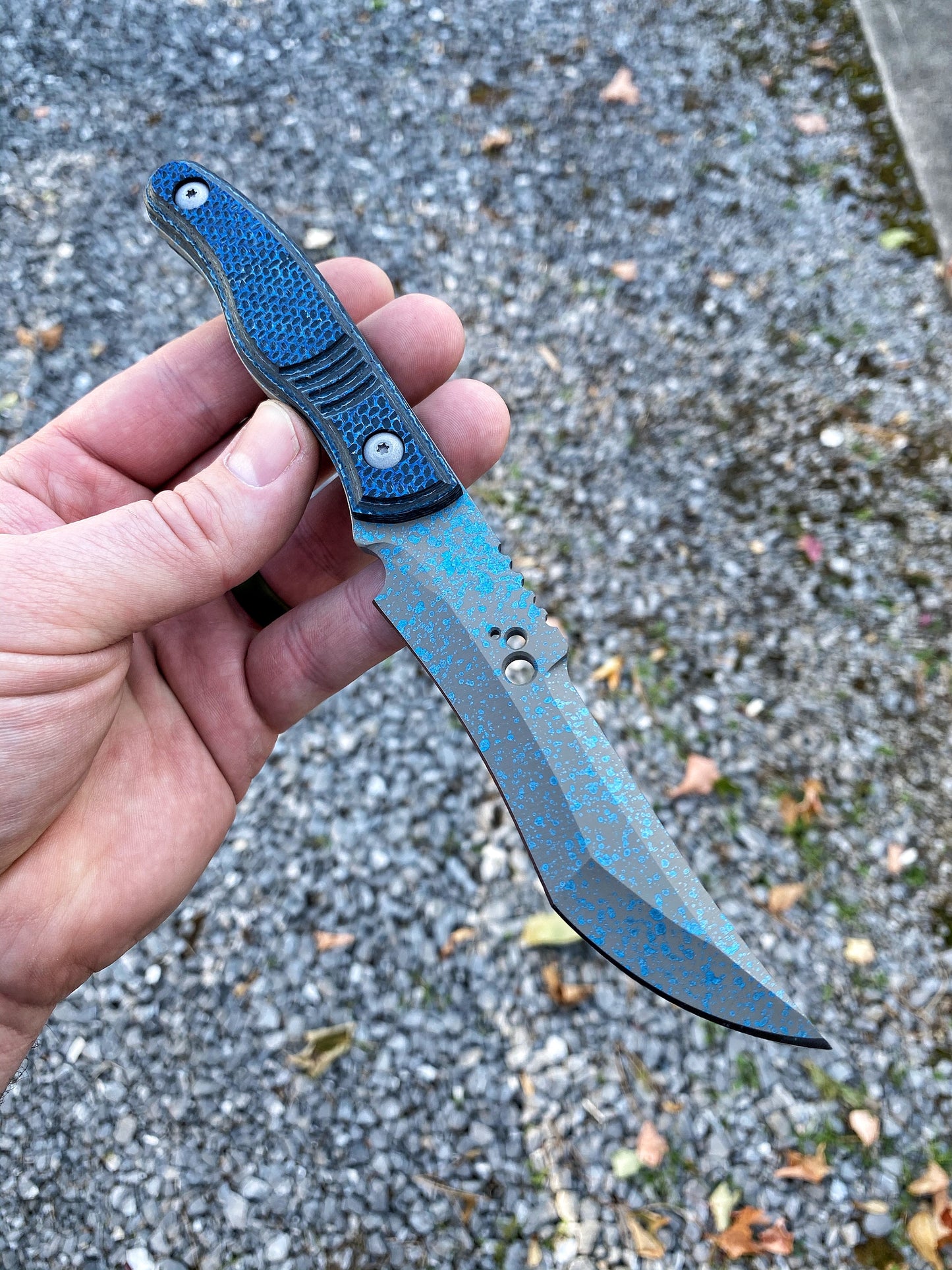 Murder Wasp